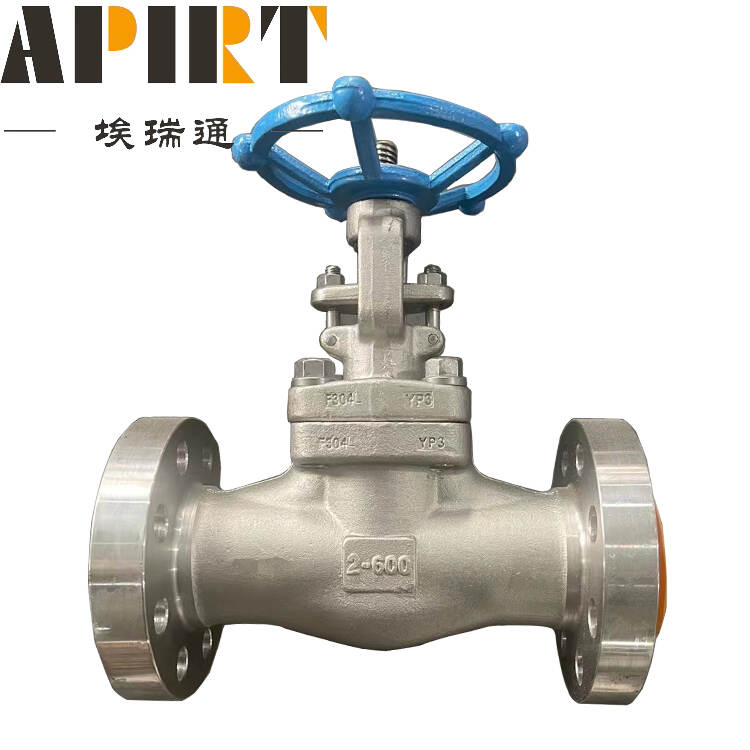 Forged Flanged Api Steel Gate Valve