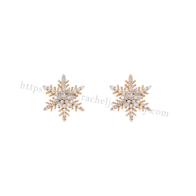 Customized big snowflake earrings.jpg