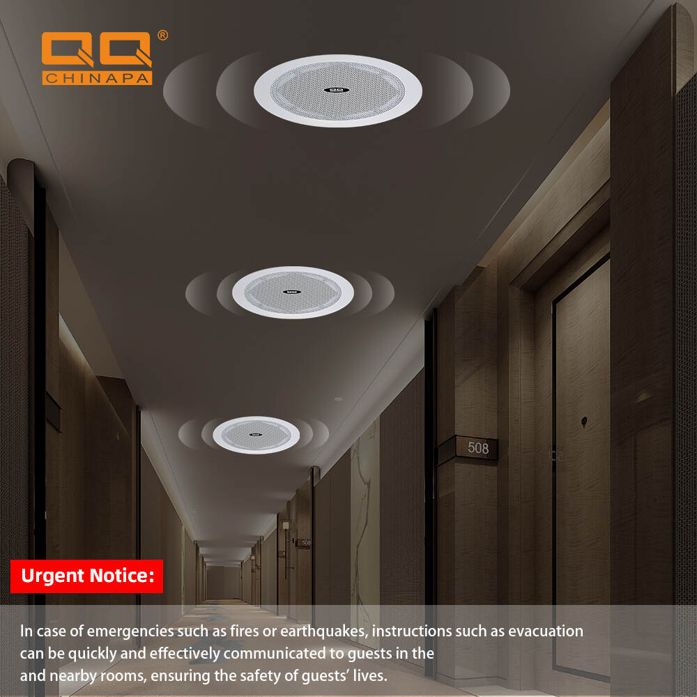 celling speakers
speakers audio system sound
passive ceiling speaker