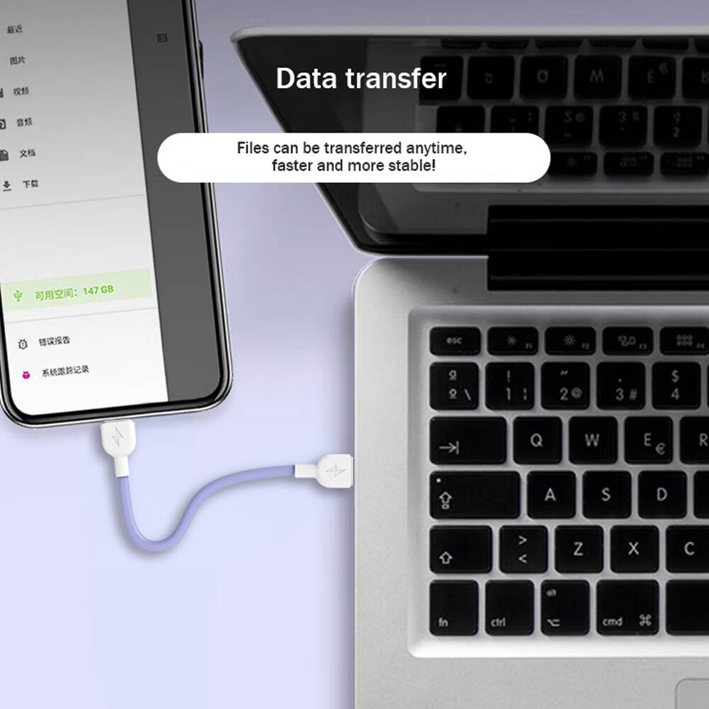 Enterprise Promotional Gifts Portable Charging Cables C-L & C-C Fast Charging Cable Smartphone Fast Charging Cable