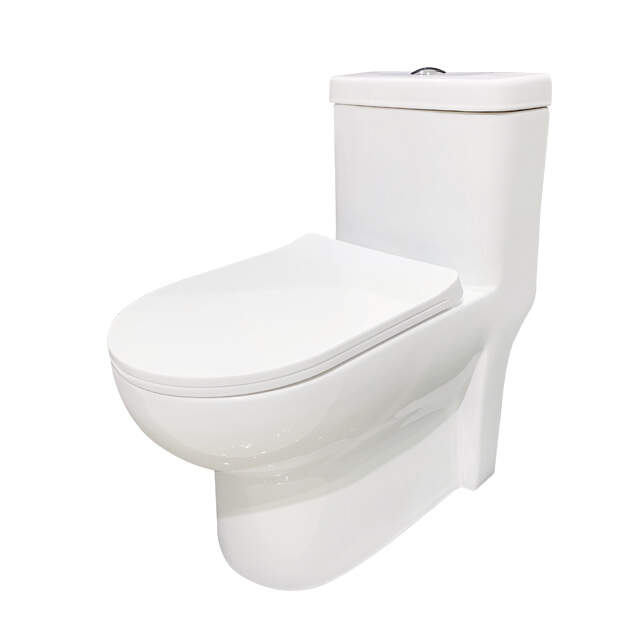 Washdown One-Piece Toilet