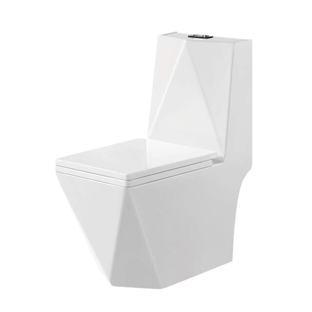 Washdown One-Piece Toilet