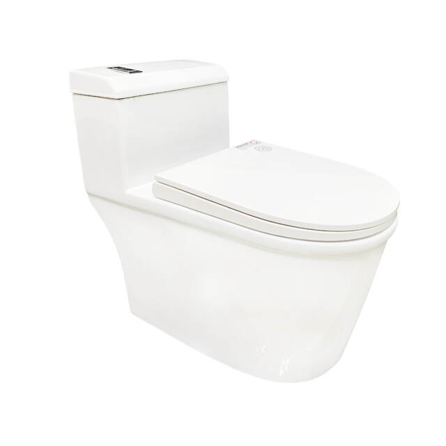 Siphonic One-Piece Toilet