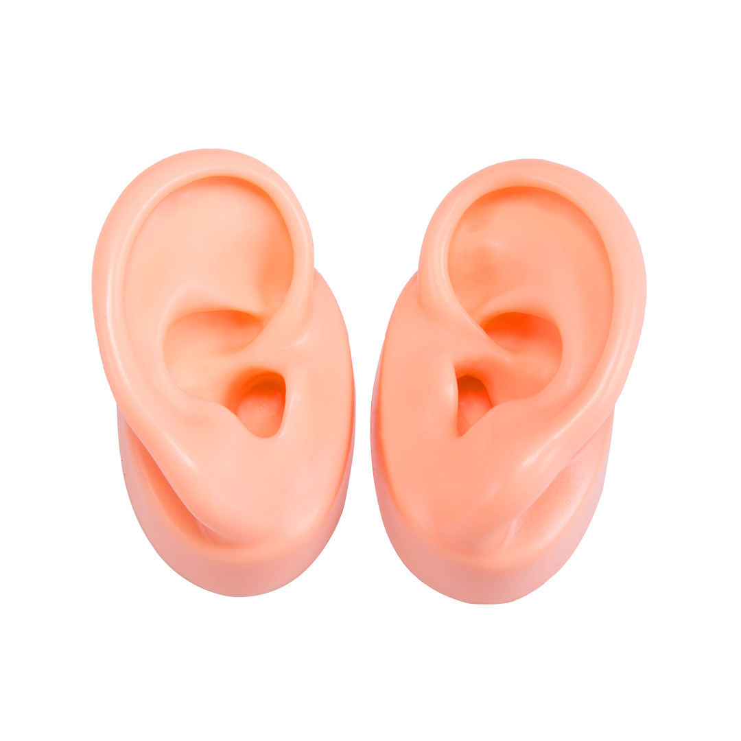 silicone human ear model, silicone ear model