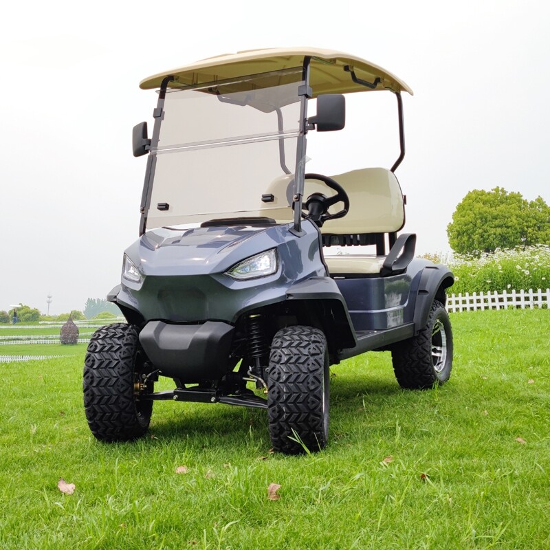 Cheap Golf Carts for Sale: Affordable Options for 2 and 4 Person Golf Carts