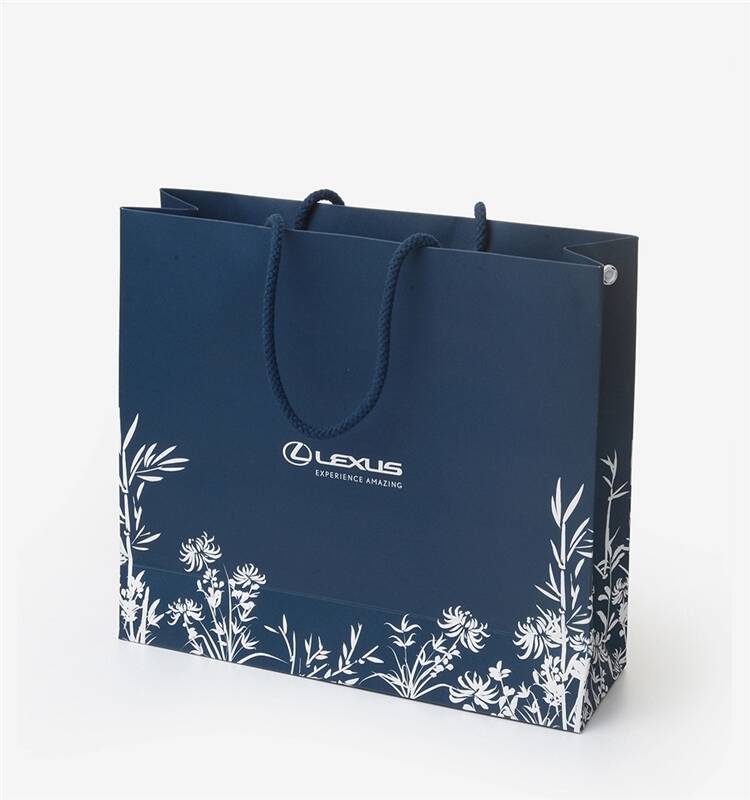 Jewelry Bag Nylon Rope Handle Jewelry Paper Bag