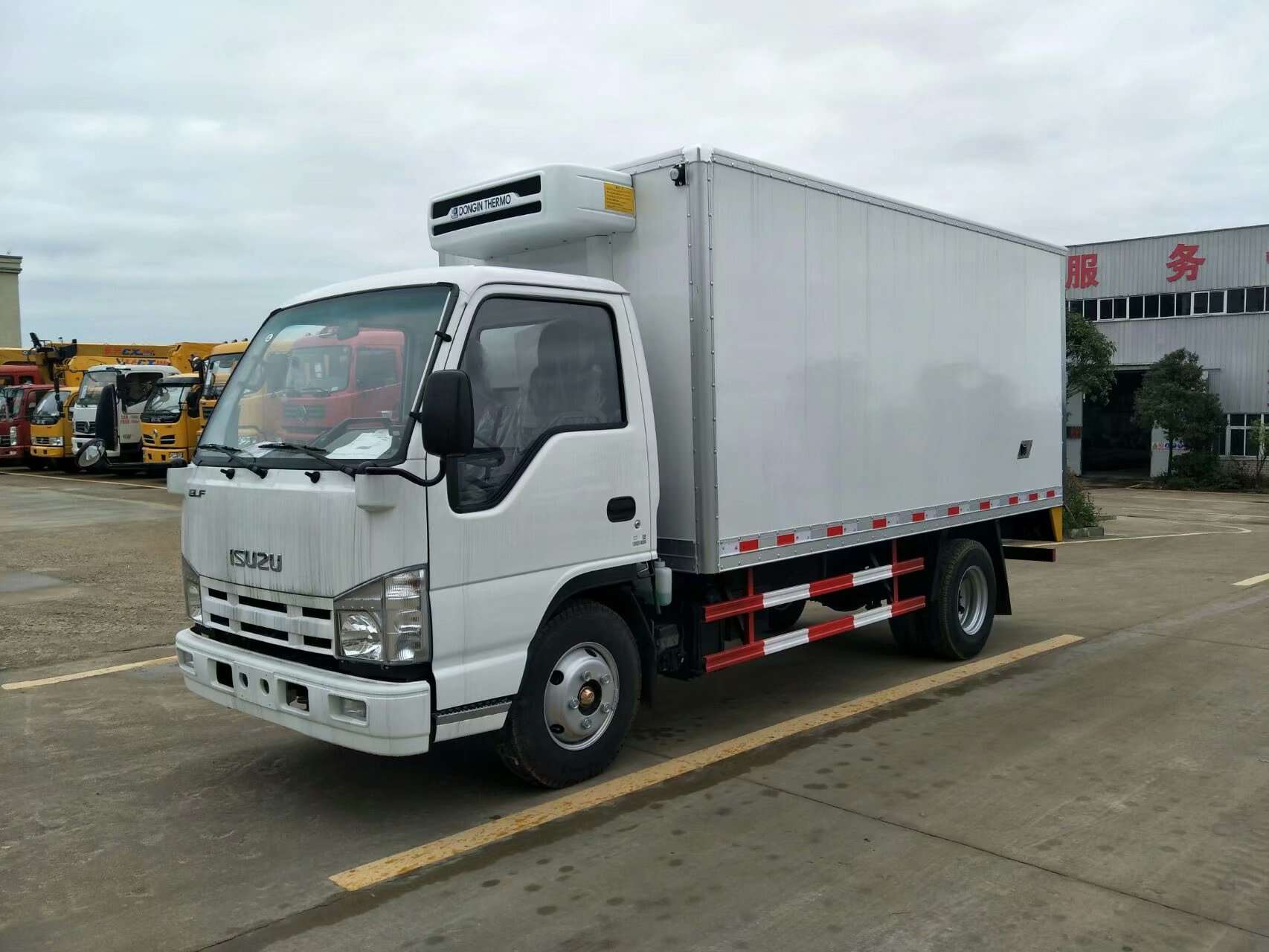 ISUZU elf freezer truck