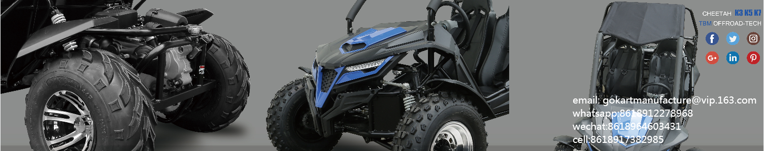 adult buggy  factory