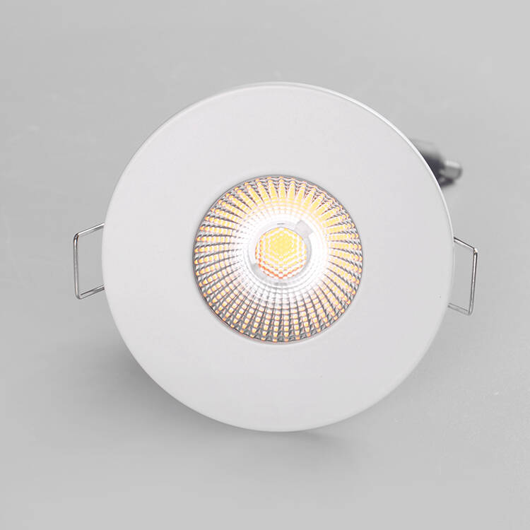 IP65 Waterproof Bathroom Light Fire-rated Recessed 10W COB Led Downlight