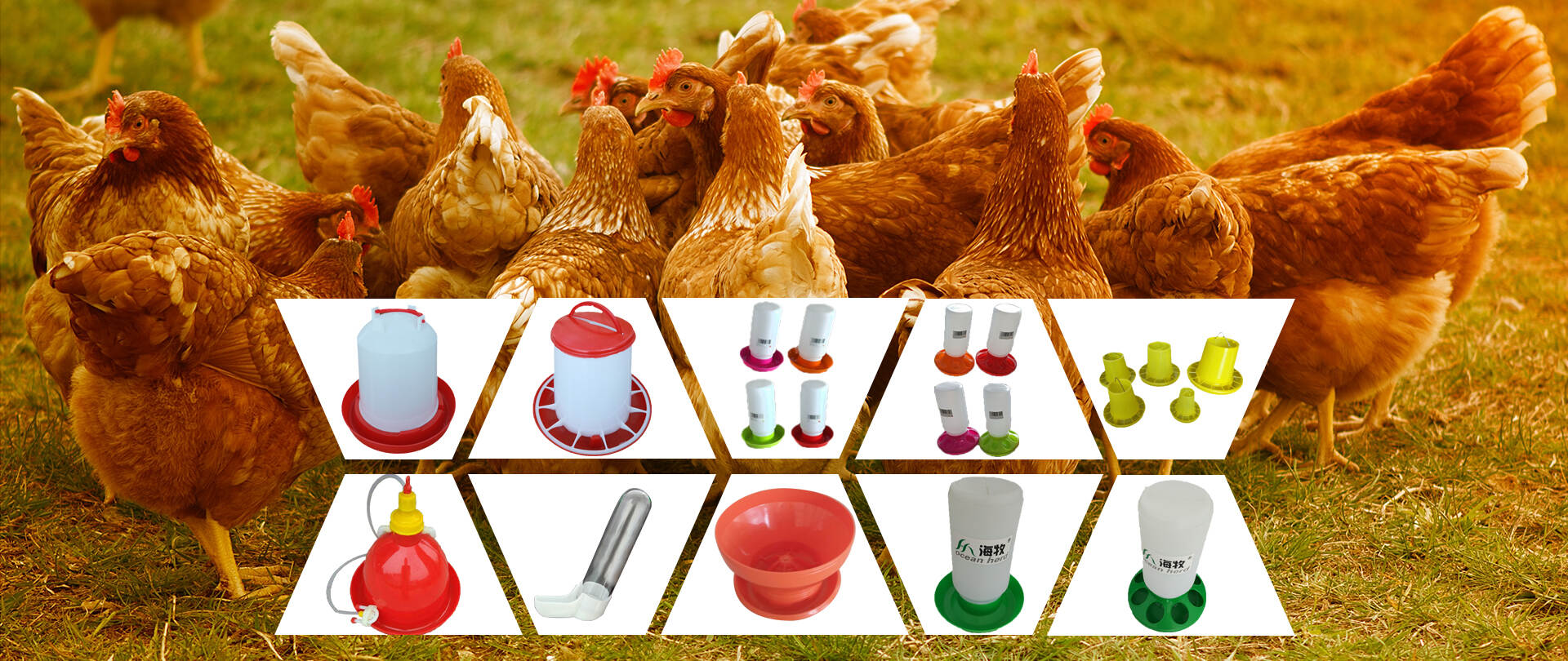 How to Control Bacterial Growth in Drinkers Farm Drinking System