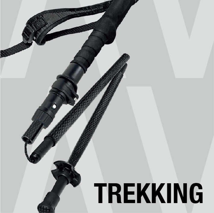 Carbon trekking pole