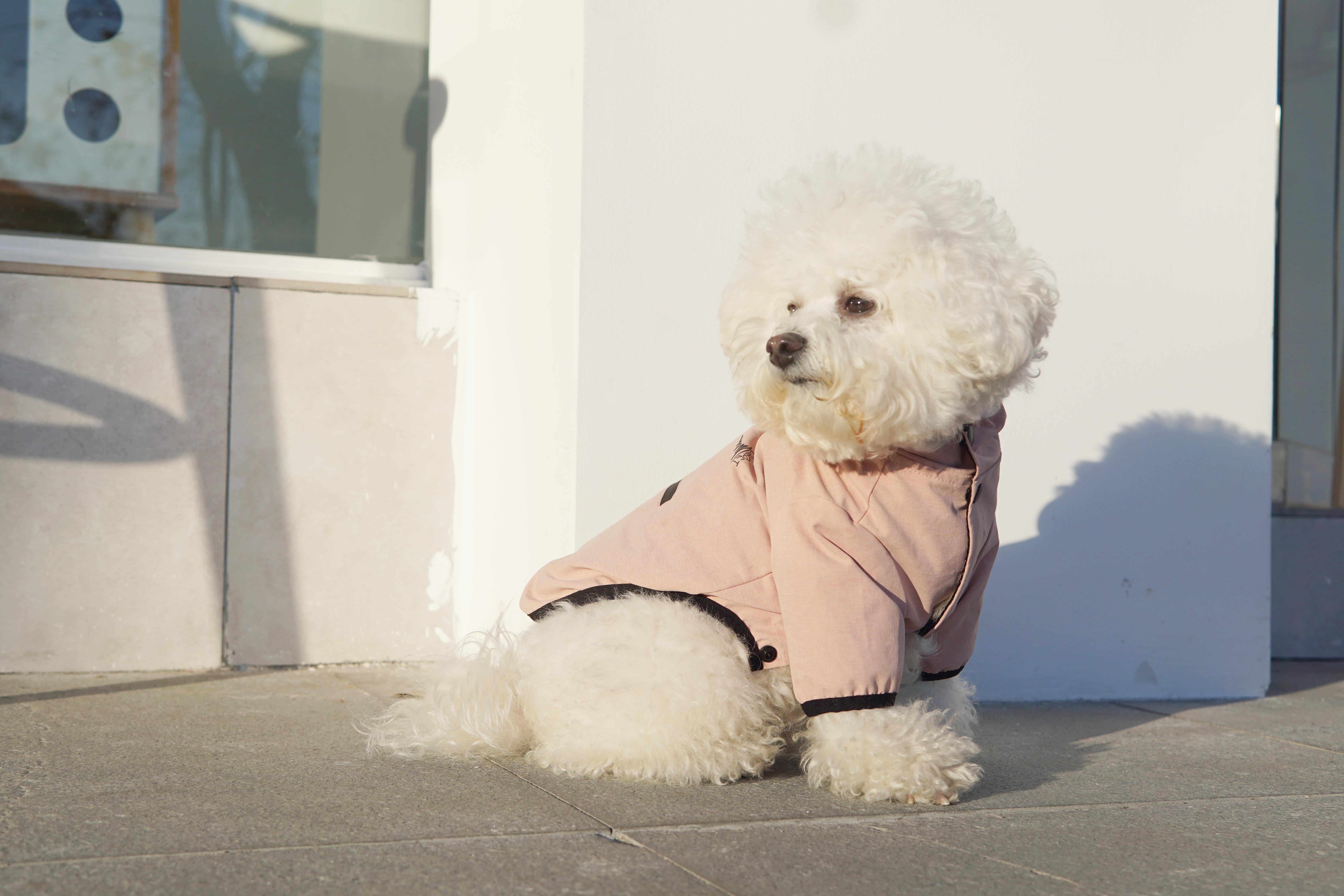 Portable raincoat (2 Legs)
