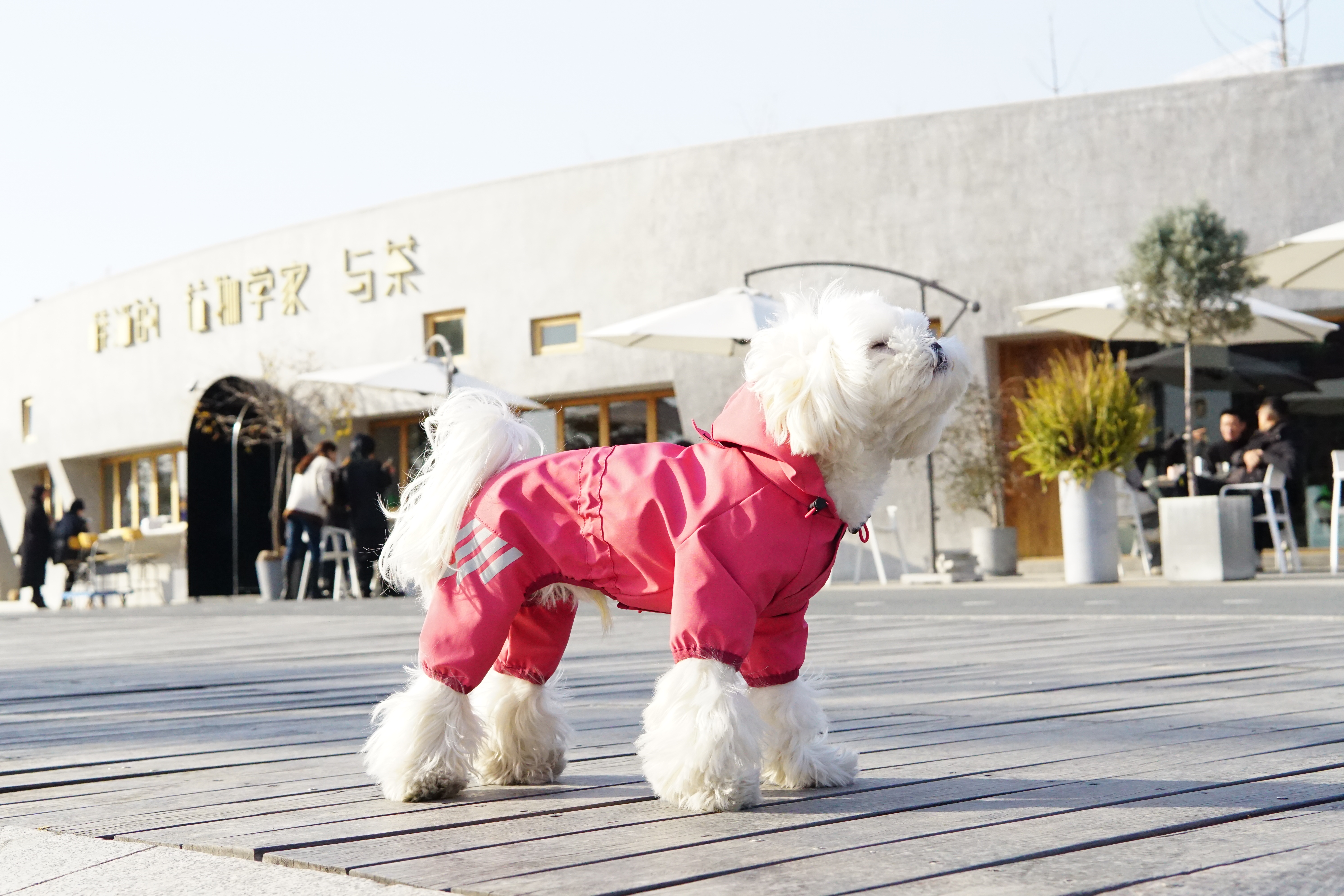  Reflective Warm Dog Raincoat(4 legs)
