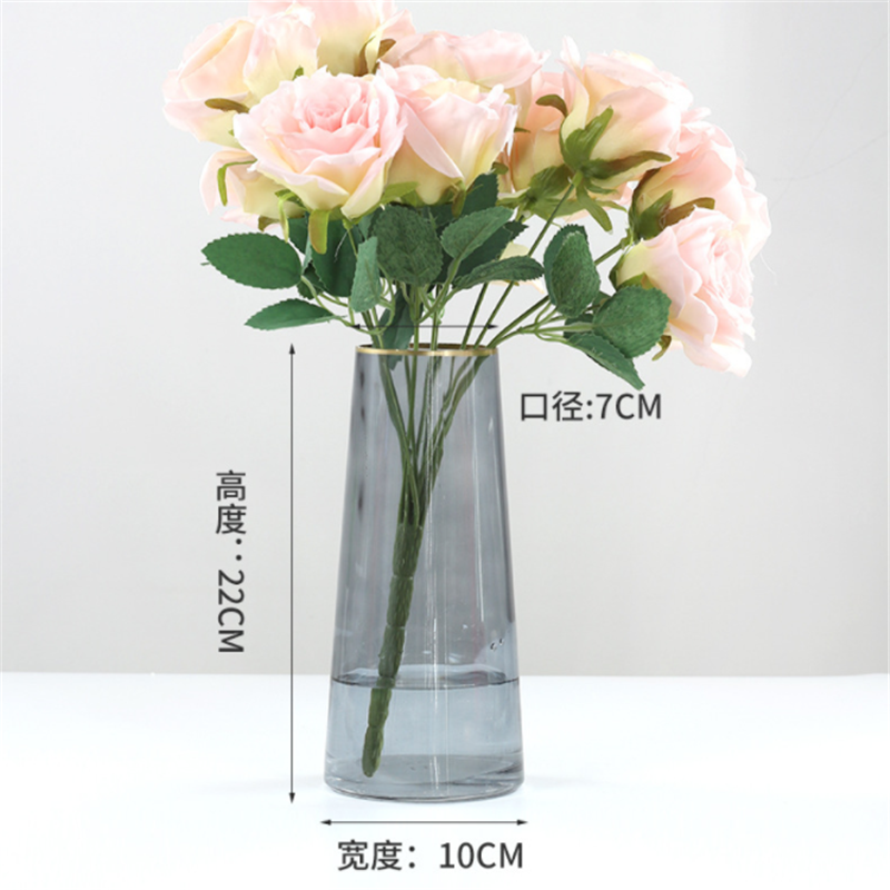 Light Luxury Stroke Vase Glass Desktop Decoration Home Decoration Hydroponic Bottle