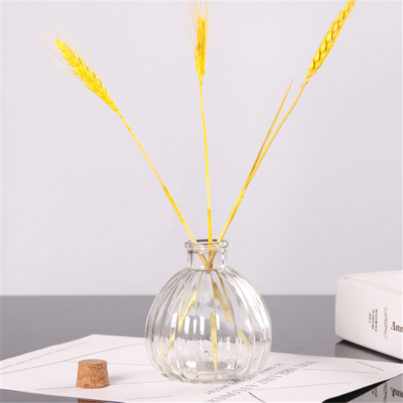 Fire-free aromatherapy glass vase empty bottle