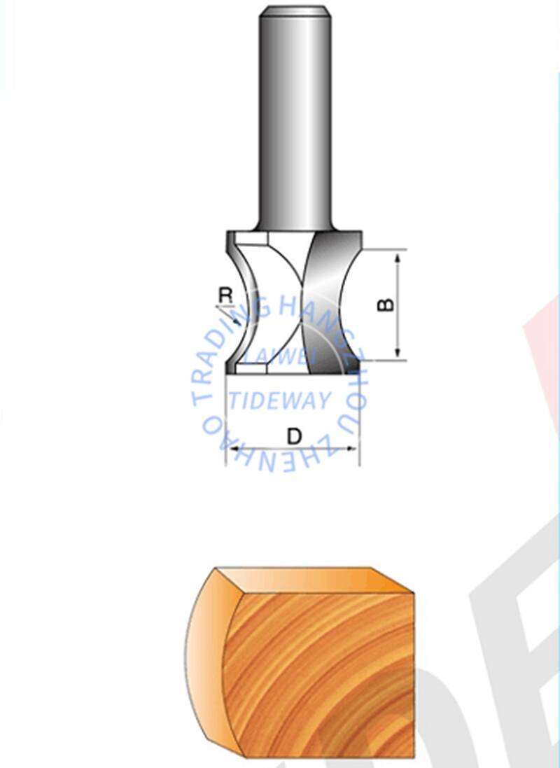 2ZLC0605.jpg