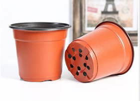 flower pot 4 .jpg