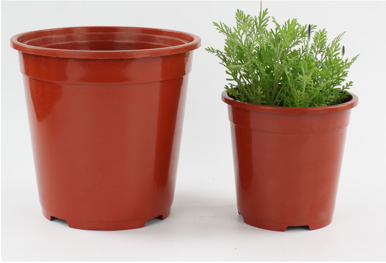 flower pot 6 .png