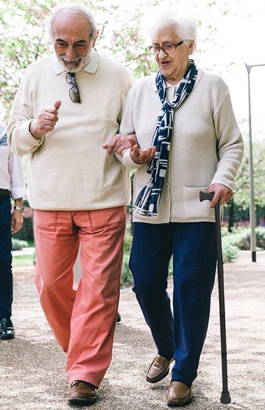 folding walking stick cane