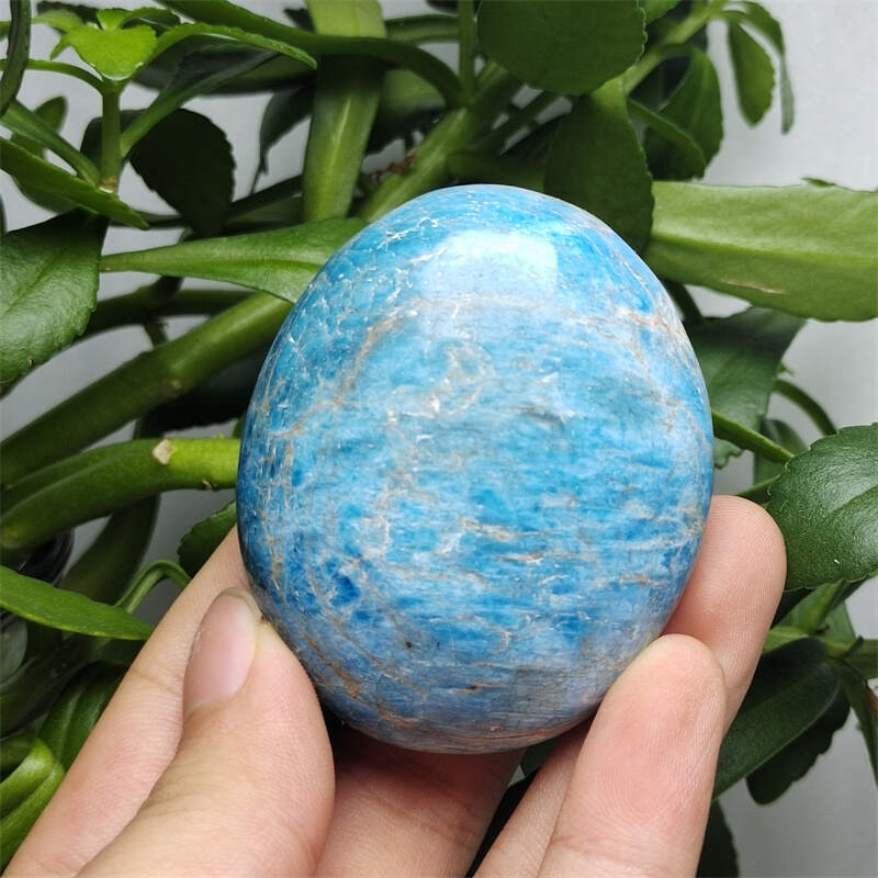 Blue Apatite Palms
