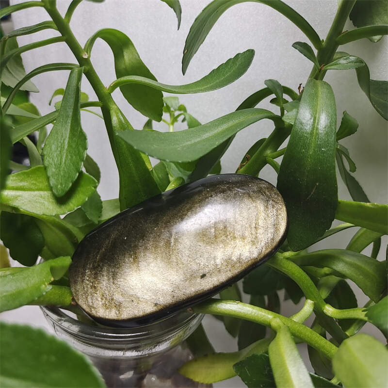 Golden Obsidian Palm