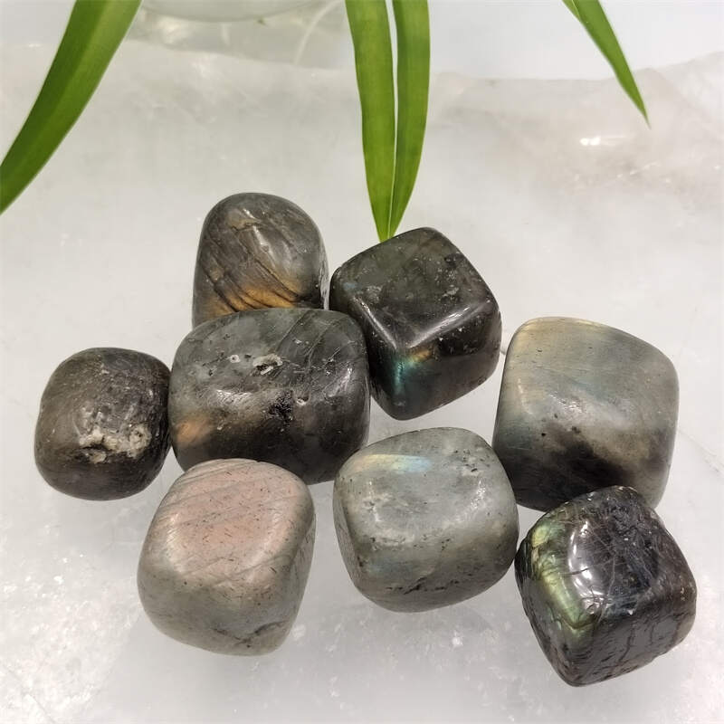 Labrador stone cubes