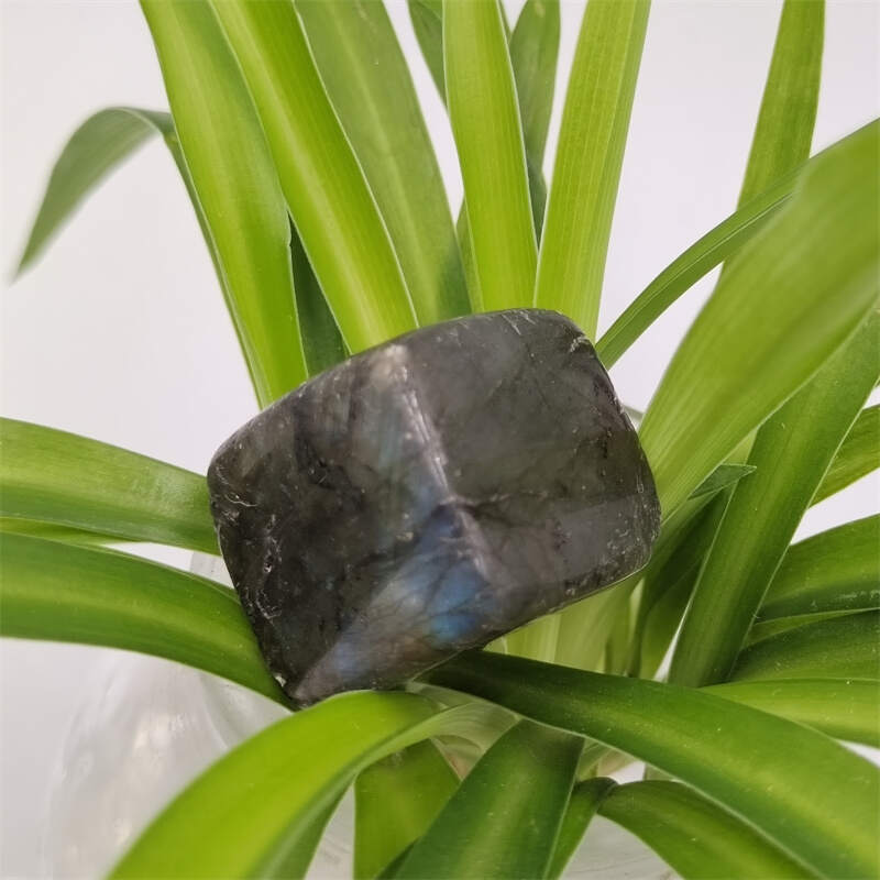 Labrador stone cubes