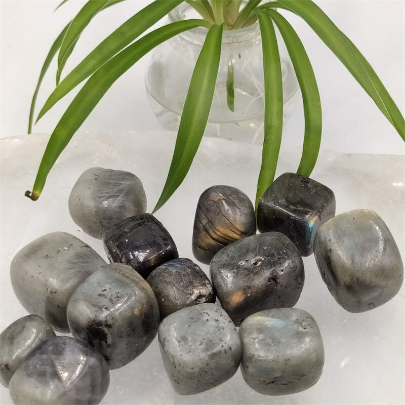 Labrador stone cubes