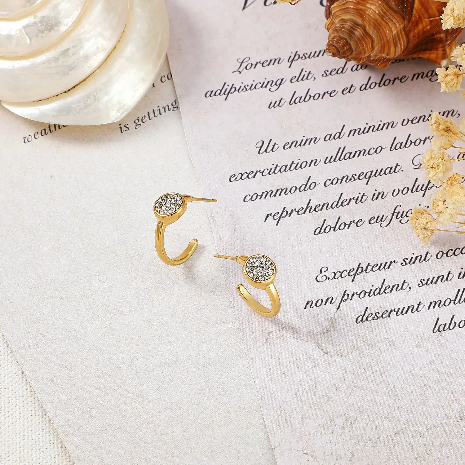 Round Plate With Zircon Hoop Earring (1).webp