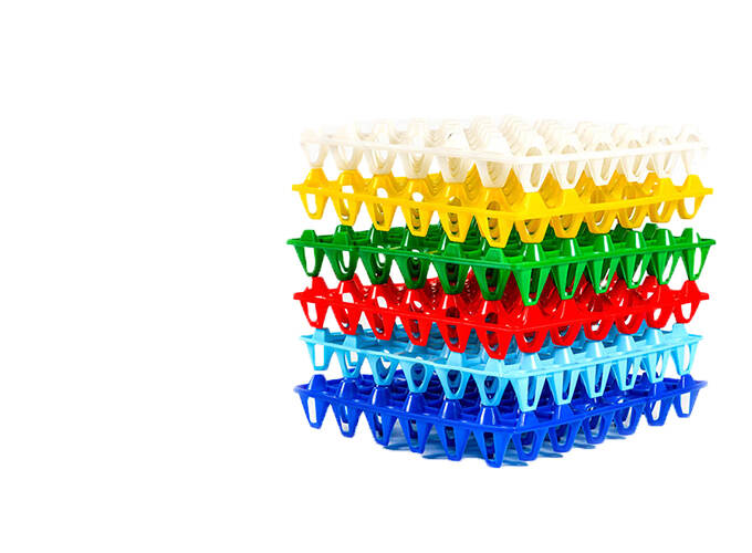 egg tray.jpg