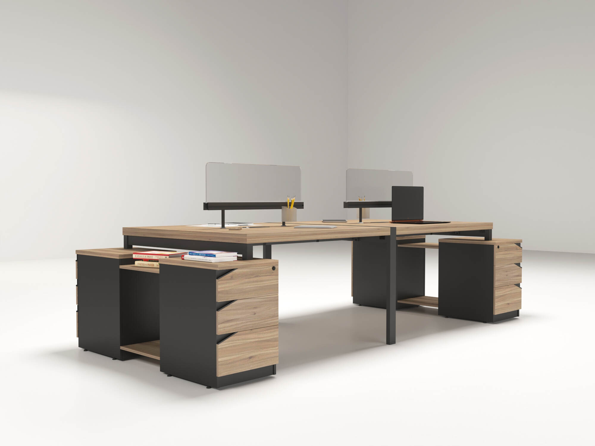 Staff Workstation