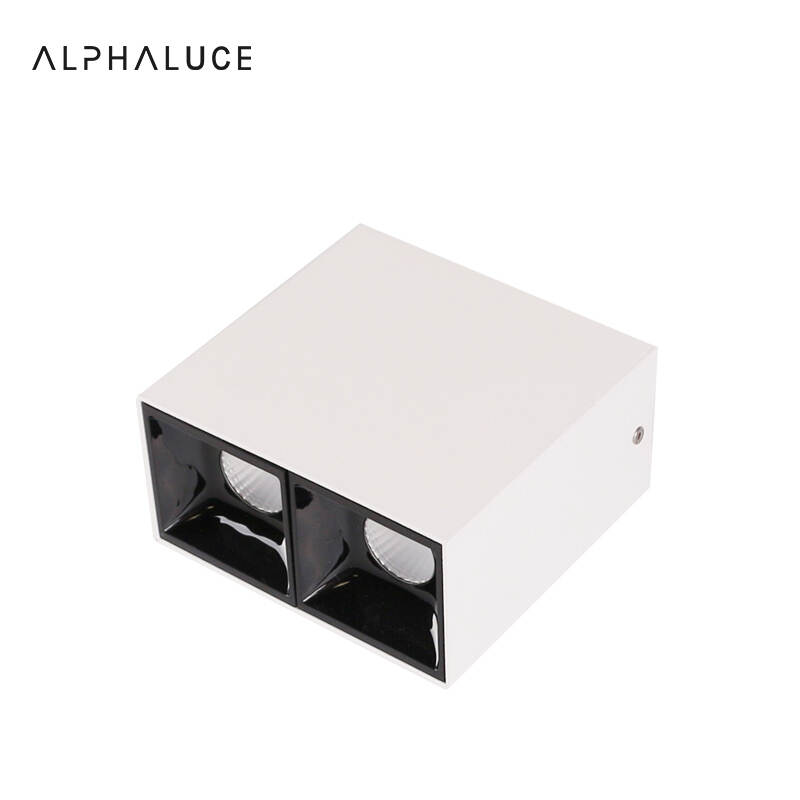 white ceiling with black downlights