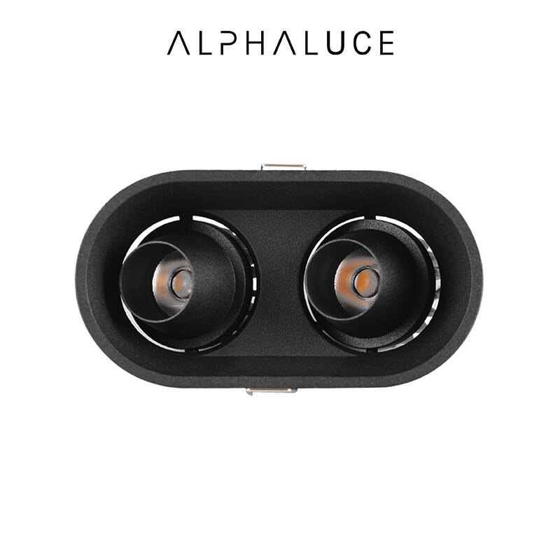 double head downlight