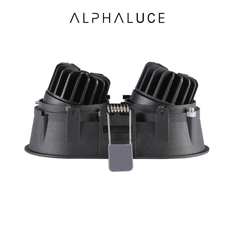 double adjustable downlight