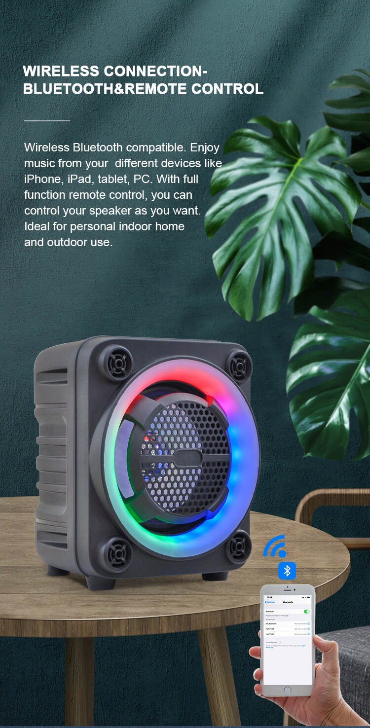 music box speaker.jpg
