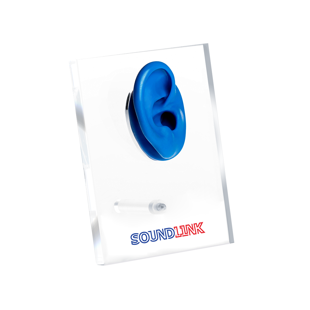 Acrylic Ear Display For Hearing Aids Displaying For Hearing Aids Clinic