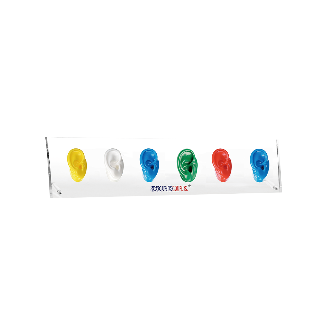 OEM Ear Display With Silicone Rubber Ear Models For Bte Itc Hearing Aids