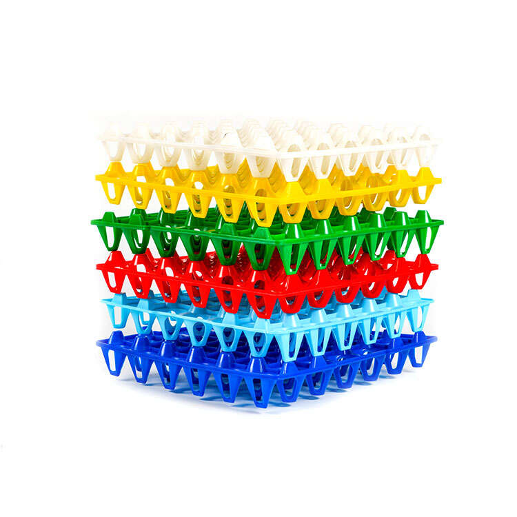 egg box