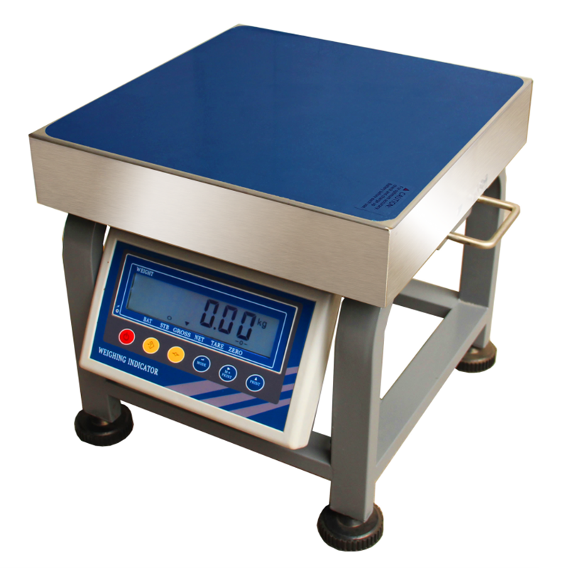 WEIGHING INSTRUMENT