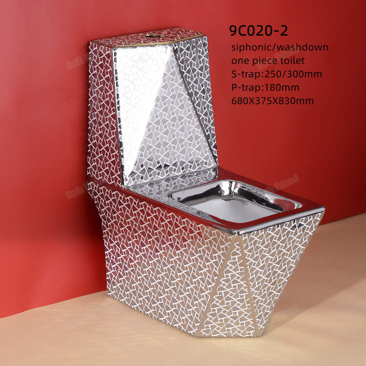 9C020-2  900.JPG
