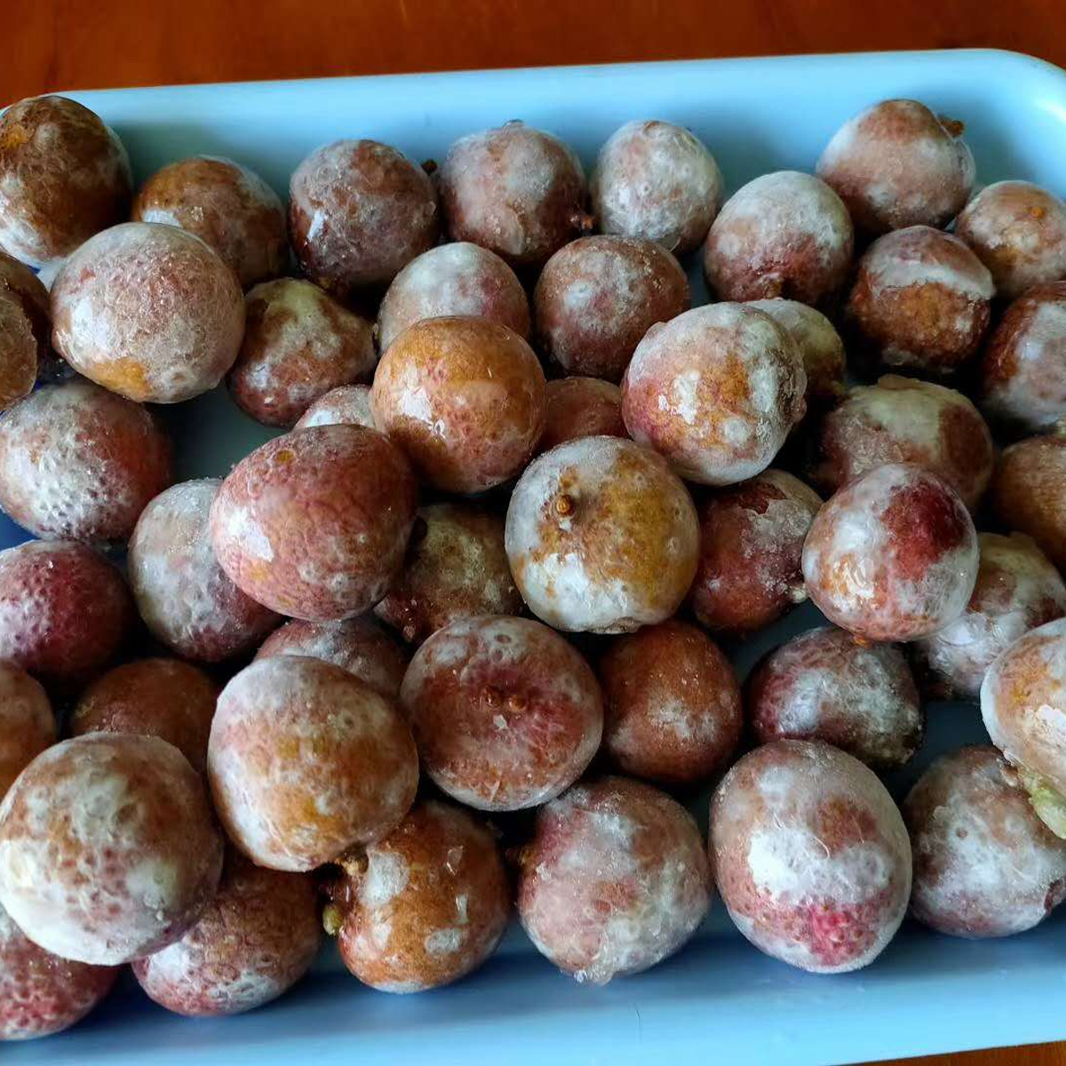 new crop wholesale price frozen IQF peeled unpeeled Lychee
