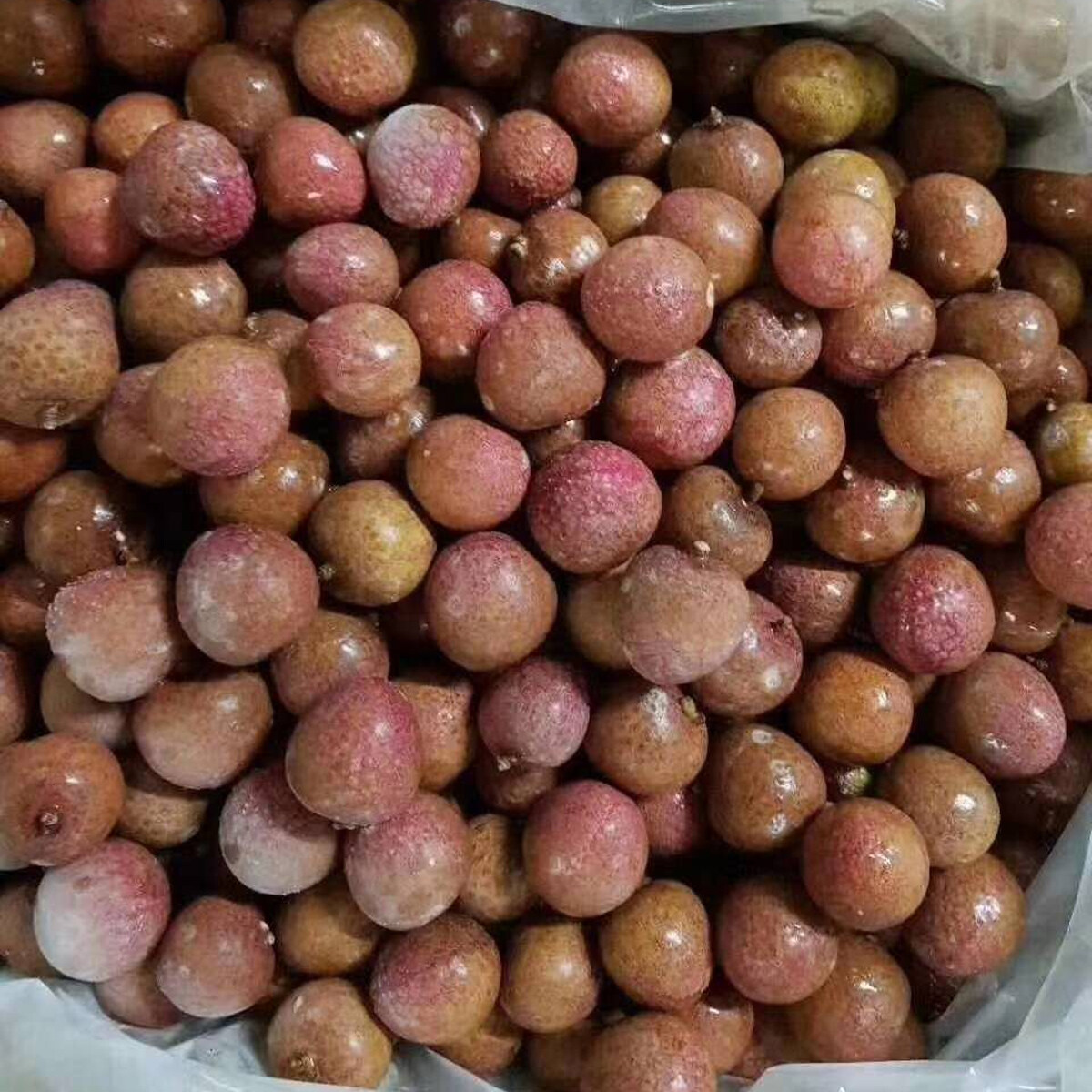China frozen lychee fruit,frozen litchi Factory,organic lychee,pitted lychees Manufacturer,Cheap wild lychee