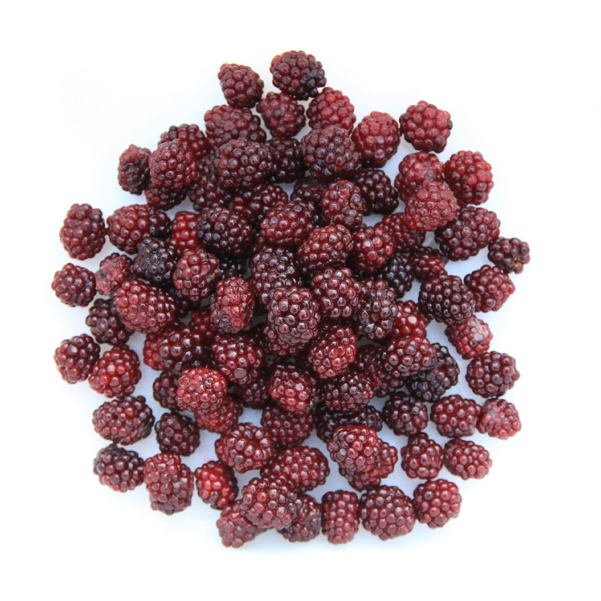 高质量的散装冷冻水果黑莓价格每吨