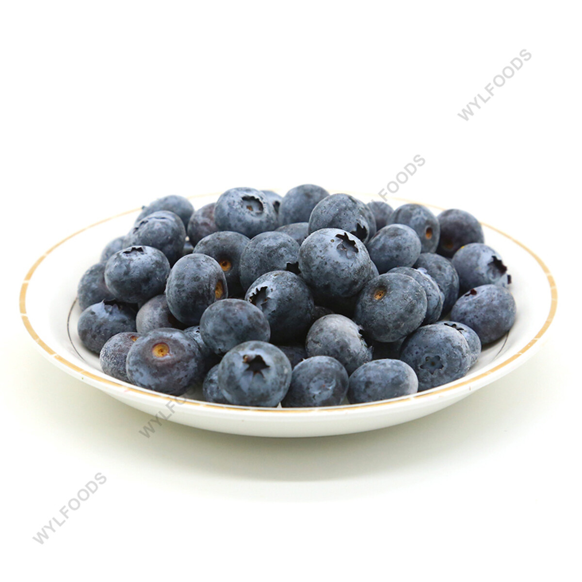 BRC-A diluluskan 12-16mm iqf blueberries 15% Brix Whole Frozen Blueberry