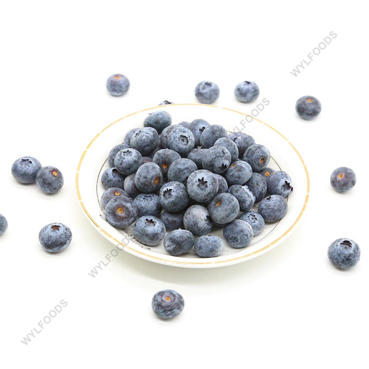 优质的散装IQF冷冻蓝莓价格冷冻水果果汁果酱