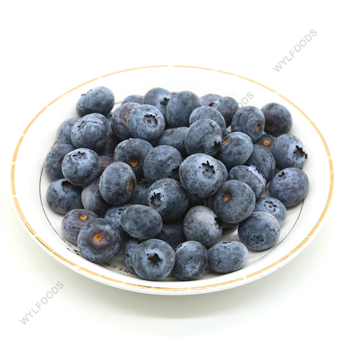 Blueberry beku borong, membekalkan blueberries beku liar, kilang buah beku blueberry, jualan blueberry beku HACCP, blueberry beku 8-12mm