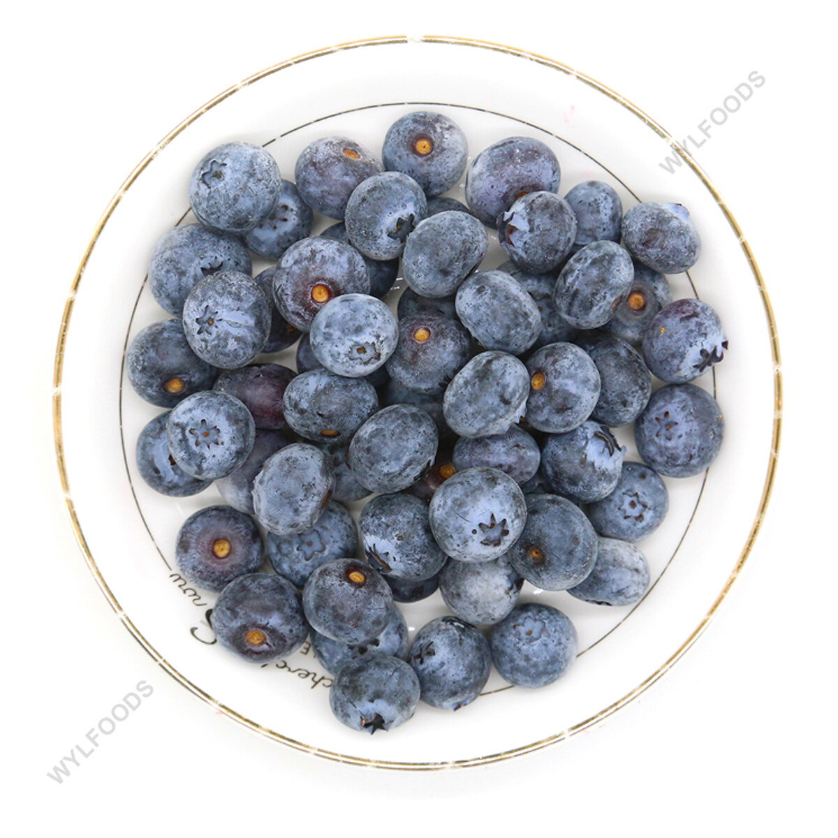 Blueberry congelado por atacado, suprimento de mirtilos congelados selvagens, fábrica de frutas congeladas de mirtilo, vendas de mirtilo congeladas do HACCP, mirtilo congelado 8-12mm