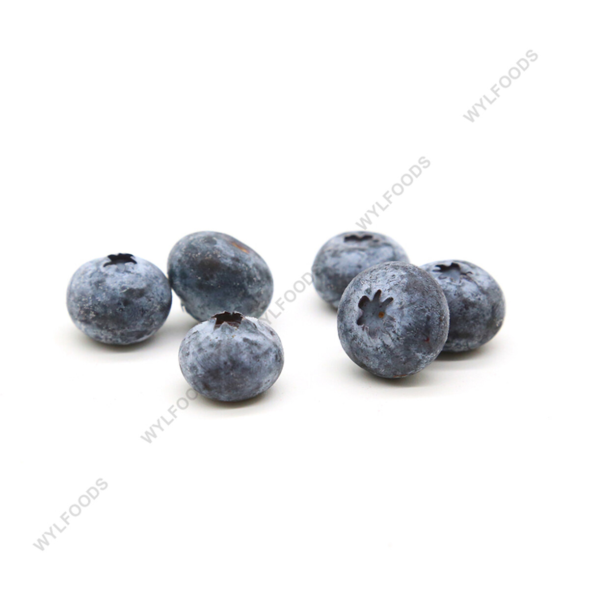 wholesale frozen blueberry, Custom frozen blueberry brands, frozen blueberry pulp, frozen blue berry Factory, organic frozen blueberries bulk