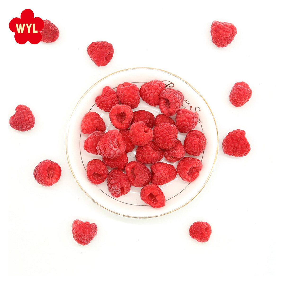 Custom IQF Frozen Raspberries, framboise de fruits congelés de haute qualité, framboises ODM congelée biologique, framboise Frozen OEM