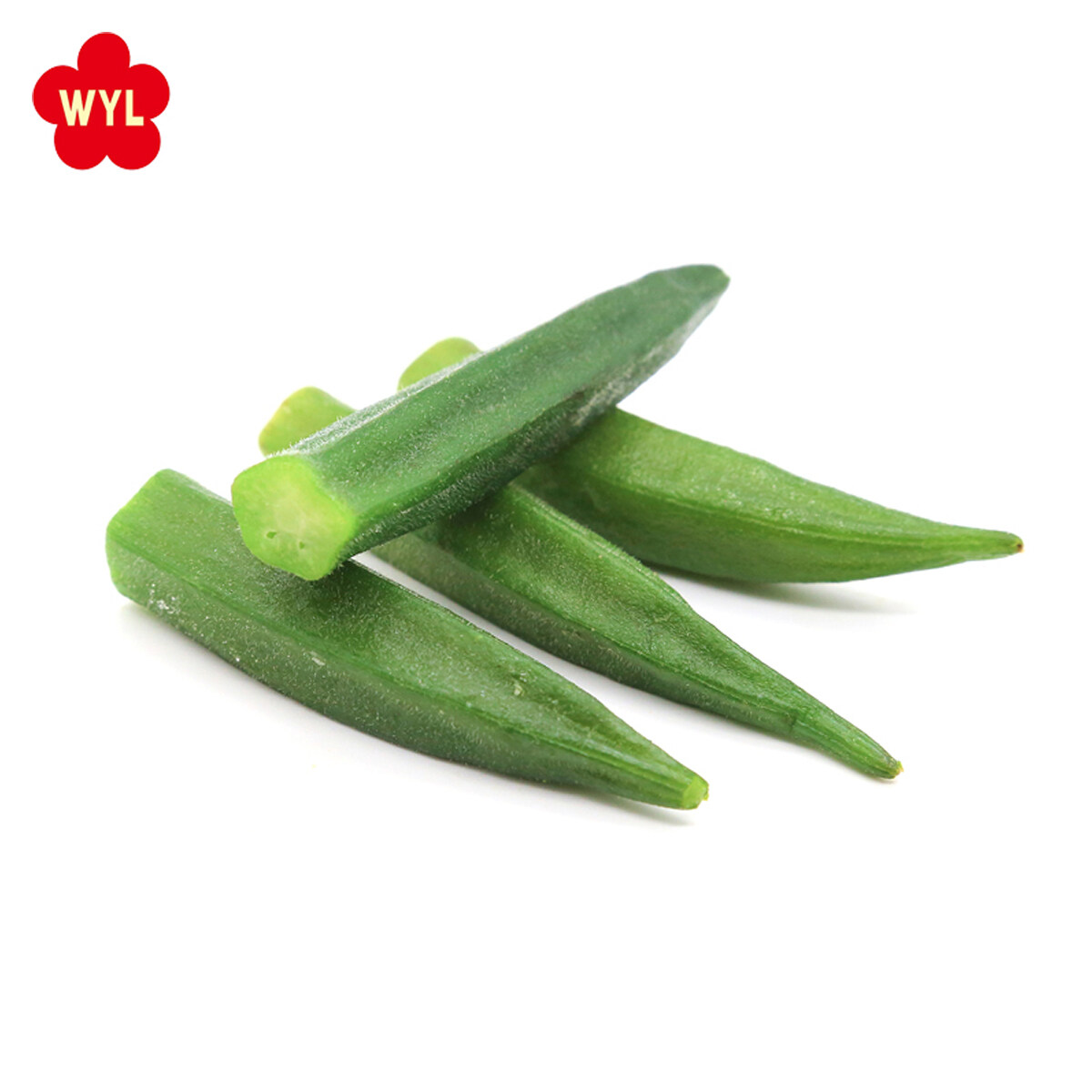 Wholesale Best Price High Quality IQF Fresh Frozen Okra